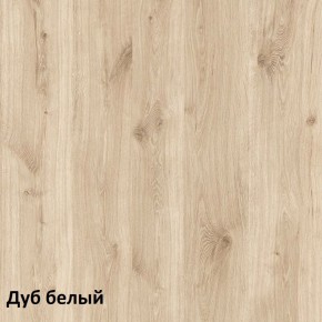 Эйп Шкаф для одежды 13.334 в Североуральске - severouralsk.mebel-74.com | фото