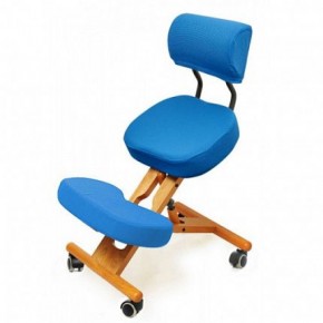 Коленный стул со спинкой Smartstool KW02В + Чехлы в Североуральске - severouralsk.mebel-74.com | фото
