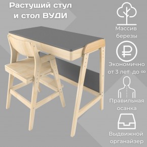 Комплект растущий стол и стул 38 попугаев «Вуди» (Серый, Без покрытия) в Североуральске - severouralsk.mebel-74.com | фото