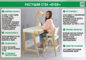 Комплект растущий стол и стул 38 попугаев «Вуди» (Серый, Без покрытия) в Североуральске - severouralsk.mebel-74.com | фото