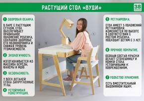 Комплект растущий стол и стул с чехлом 38 попугаев «Вуди» (Белый, Береза, Ромбы) в Североуральске - severouralsk.mebel-74.com | фото