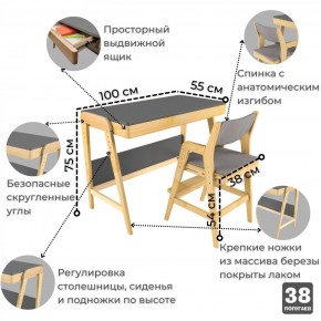 Комплект растущий стол и стул с чехлом 38 попугаев «Вуди» (Серый, Береза, Серый) в Североуральске - severouralsk.mebel-74.com | фото