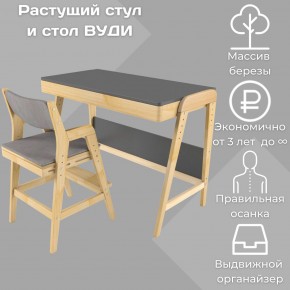Комплект растущий стол и стул с чехлом 38 попугаев «Вуди» (Серый, Без покрытия, Серый) в Североуральске - severouralsk.mebel-74.com | фото