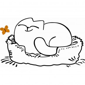 Кровать двухуровневая Кот № 900.1 ПРАВАЯ (туя светлая/белый) в Североуральске - severouralsk.mebel-74.com | фото
