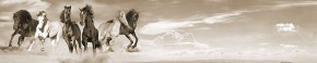 Кухонный фартук Фауна 043 МДФ матовый (3000) Fauna в Североуральске - severouralsk.mebel-74.com | фото