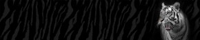 Кухонный фартук Фауна 055 МДФ матовый (3000) Fauna в Североуральске - severouralsk.mebel-74.com | фото