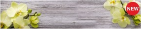 Кухонный фартук КМ 09 Композит глянец (3000) в Североуральске - severouralsk.mebel-74.com | фото