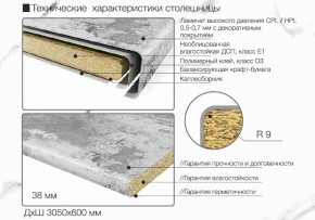 Кухонный фартук со столешницей (А-01) в едином стиле (3050 мм) в Североуральске - severouralsk.mebel-74.com | фото