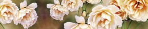 Кухонный фартук Цветы 066 МДФ матовый (3000) Flowers в Североуральске - severouralsk.mebel-74.com | фото