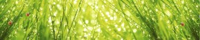 Кухонный фартук Цветы 115 МДФ матовый (3000) Flowers в Североуральске - severouralsk.mebel-74.com | фото