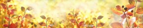 Кухонный фартук Цветы 318 МДФ матовый (3000) Flowers в Североуральске - severouralsk.mebel-74.com | фото
