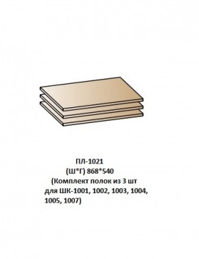 ПЛ-1021 (Комплект полок из 3 шт для ШК-1001, 1002, 1003, 1004, 1005, 1007) в Североуральске - severouralsk.mebel-74.com | фото