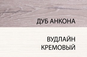 Шкаф 1DG, OLIVIA, цвет вудлайн крем/дуб анкона в Североуральске - severouralsk.mebel-74.com | фото