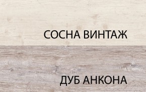 Шкаф 2D1S, MONAKO, цвет Сосна винтаж/дуб анкона в Североуральске - severouralsk.mebel-74.com | фото