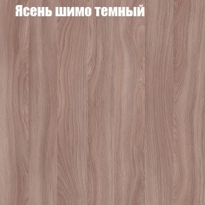 Шкаф-купе «ТАНДЕМ» 2-х дверный в алюминиевом профиле (Дверь К+К) 1600/h2200 в Североуральске - severouralsk.mebel-74.com | фото