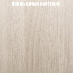 Шкаф-купе «ТАНДЕМ» 3-х дверный в алюминиевом профиле (Дверь К+К+К) 2100/h2200 в Североуральске - severouralsk.mebel-74.com | фото