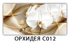 Стол раздвижной Трилогия с фотопечатью Орхидея C012 в Североуральске - severouralsk.mebel-74.com | фото