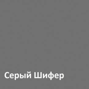 Юнона Шкаф торцевой 13.221 в Североуральске - severouralsk.mebel-74.com | фото